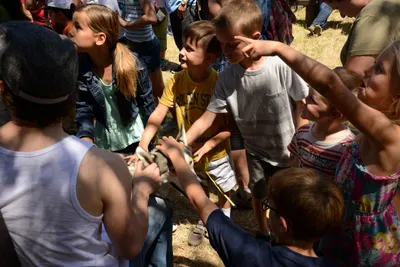 DSC_1669 (Large).JPG